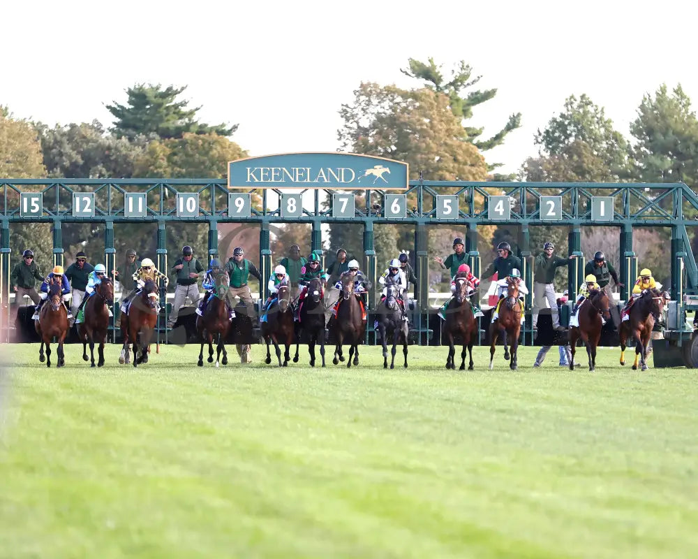 ADMIT - The Bank of America Valley View - G2 - 10-24-25 - R09 - KEE - Start 01 Keeneland