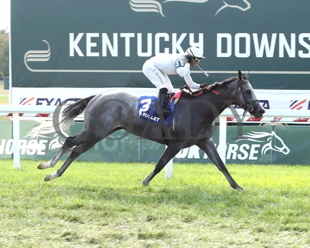Ag Bullet - The Exacta Systems Ladies Turf Sprint G2 08-31-24 R09 Kd Finish 04 Kentucky Downs