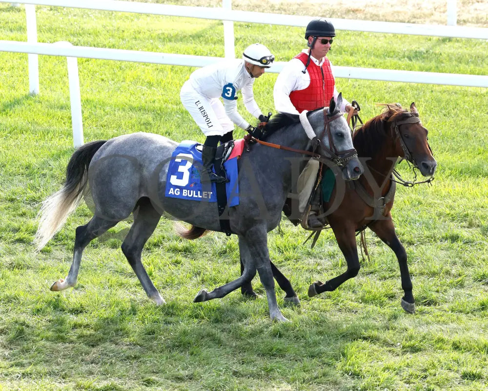 Ag Bullet - The Exacta Systems Ladies Turf Sprint G2 08-31-24 R09 Kd Post Parade 01 Kentucky Downs