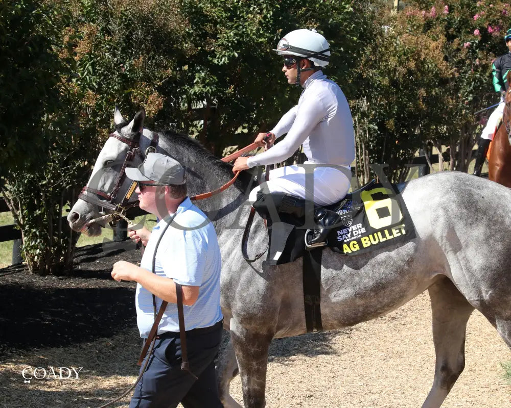 AG BULLET The Exacta Systems Ladies Turf Sprint G2 08 31 24 R09 Paddock 01 Kentucky Downs