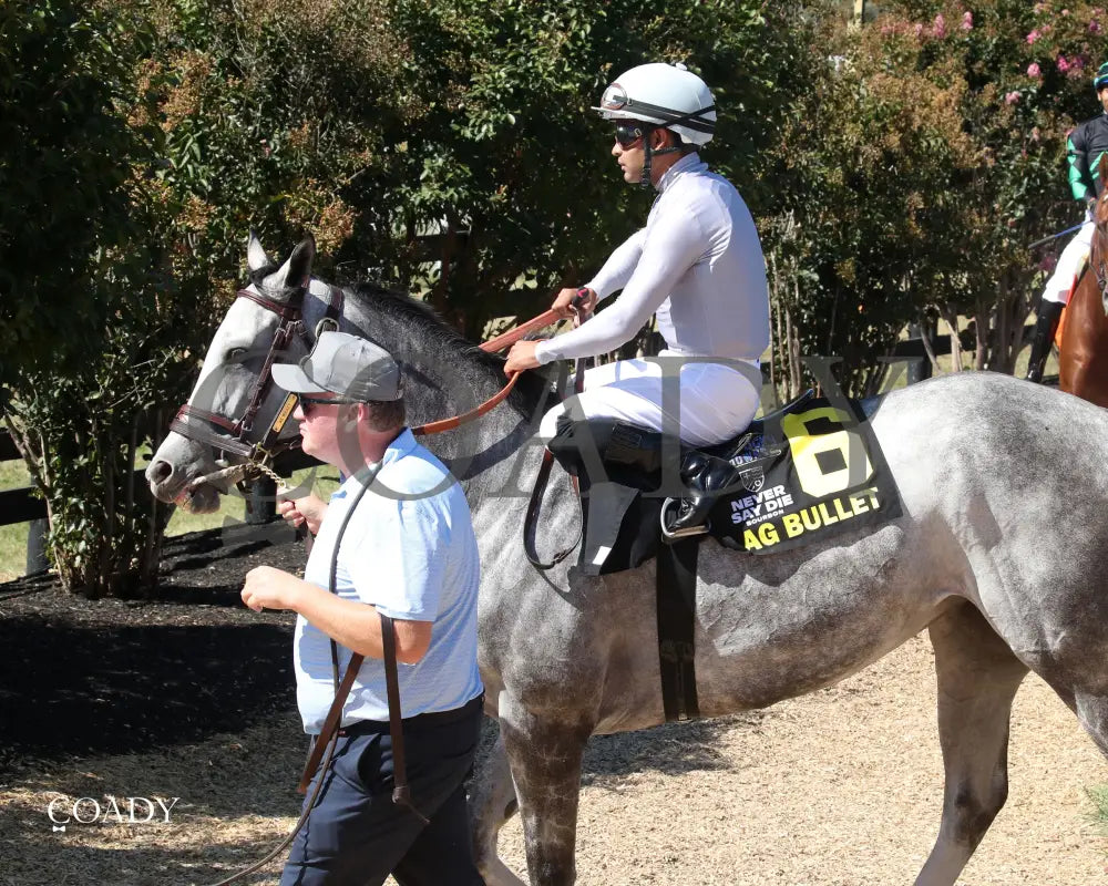 AG BULLET The Exacta Systems Ladies Turf Sprint G2 08 31 24 R09 Post Parade 01 Kentucky Downs