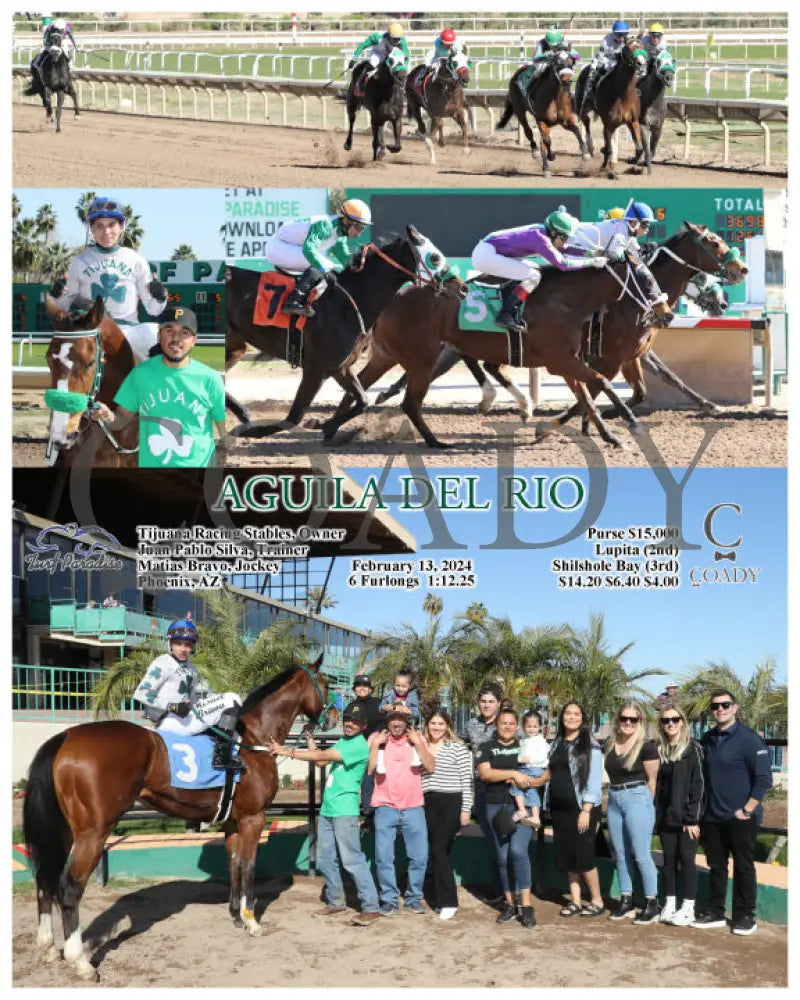 Aguila Del Rio - 02-13-24 R06 Tup Turf Paradise