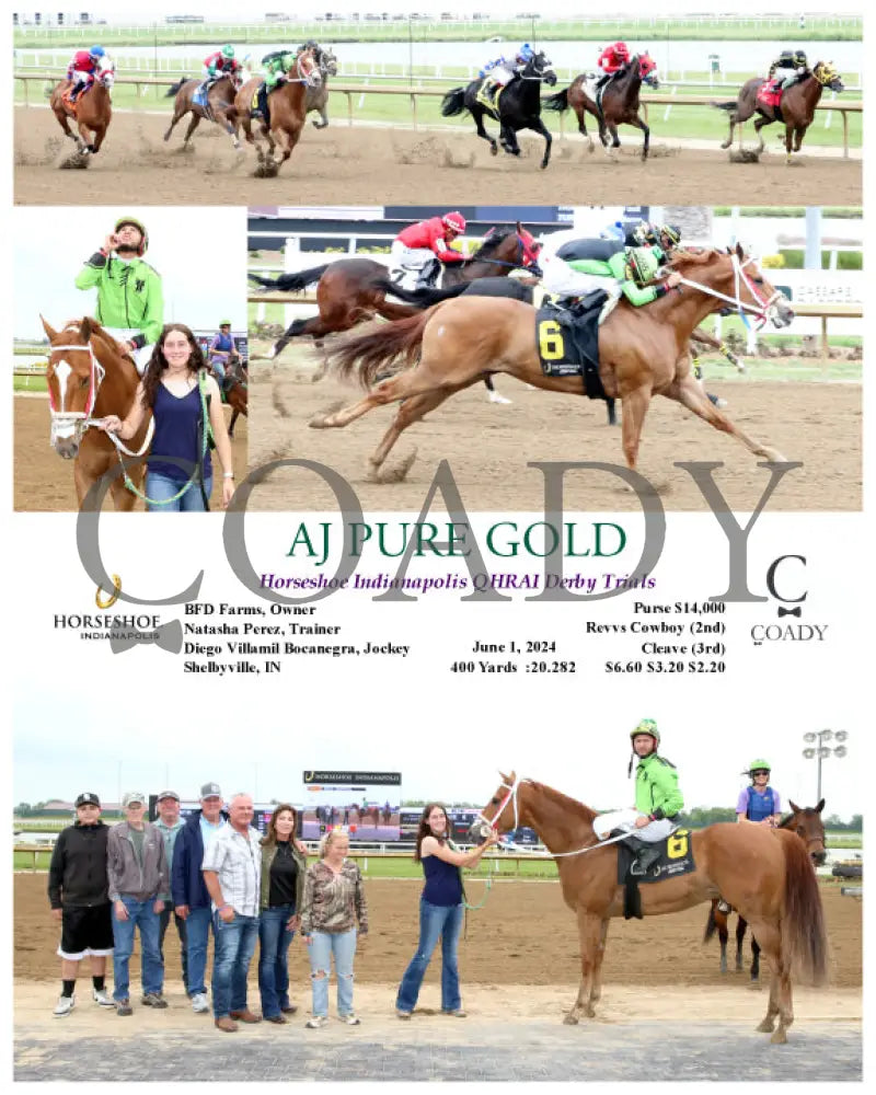 Aj Pure Gold - Horseshoe Indianapolis Qhrai Derby Trials 06-01-24 R06 Ind Indiana Grand