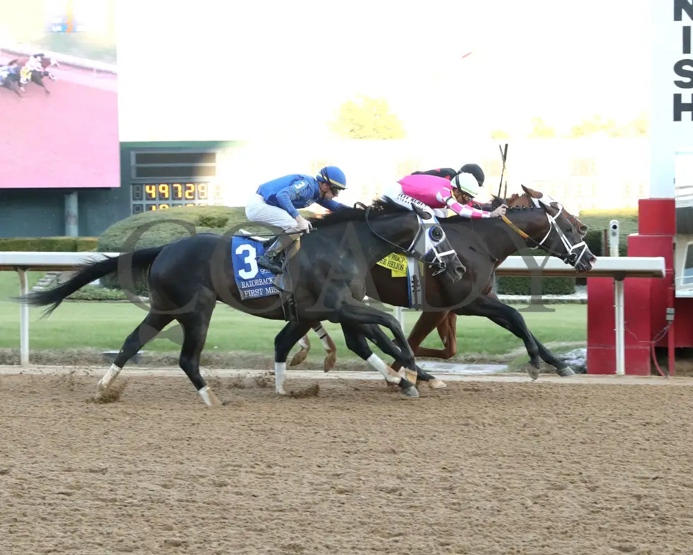 ALEXANDER HELIOS - 022325 - Race 10 - OP The Razorback Handicap G3 - Finish 01 Oaklawn Park