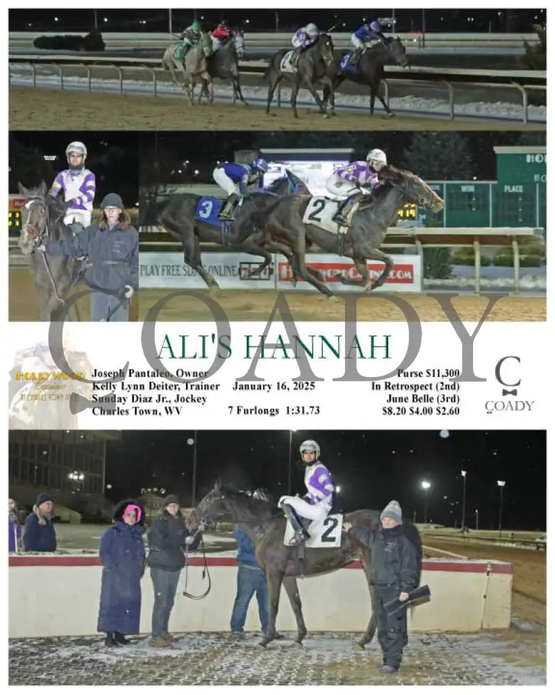 Ali’s Hannah - 01-16-25 R01 Ct Hollywood Casino At Charles Town Races