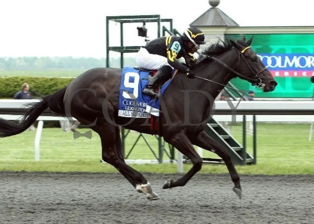 All Squared Away - 042112 Race 09 Fin Keeneland