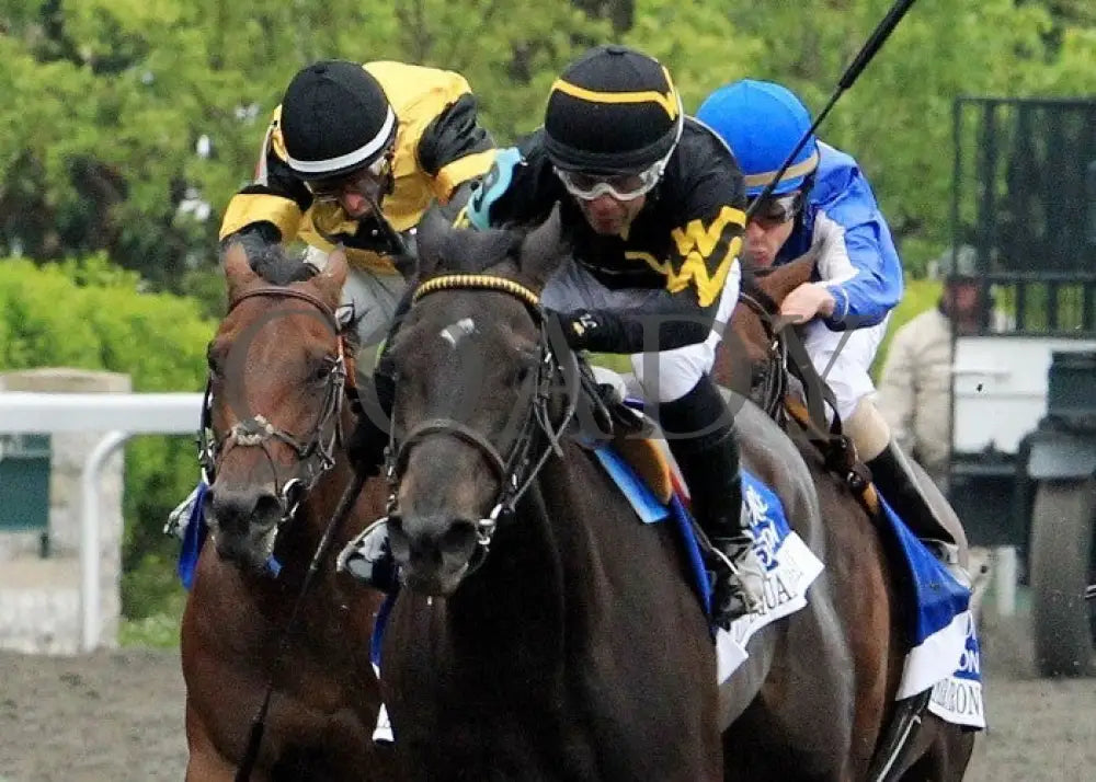 All Squared Away - 042112 Race 09 Inside Fin Keeneland