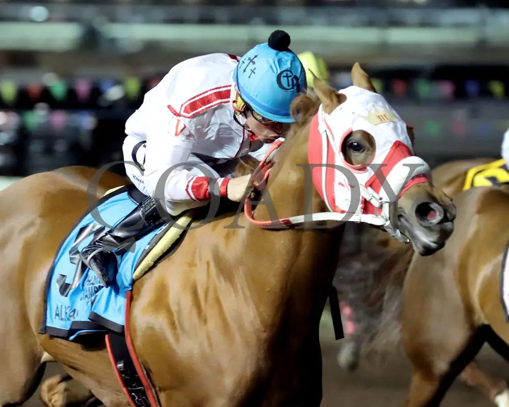 ALLIEKAT DYNASTY - The Cox Ranch Distaff Challenge Championship Gl - 10-18-25 - R07 - The Downs at Albuquerque - Finish