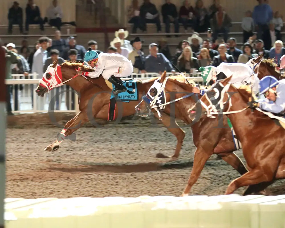 ALLIEKAT DYNASTY - The Cox Ranch Distaff Challenge Championship Gl - 10-18-25 - R07 - The Downs at Albuquerque - Finish