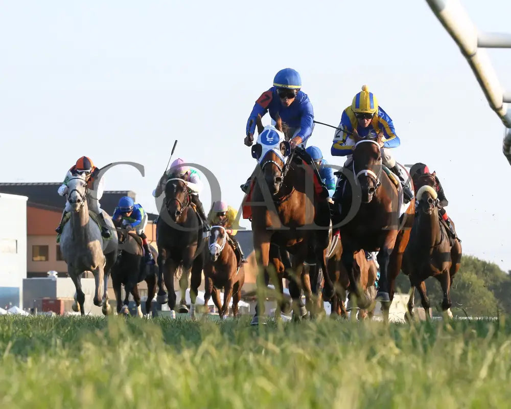 Alms - The Pepsi One Dreamer 8Th Running 09-14-22 R11 Kd Under Rail 01 Kentucky Downs