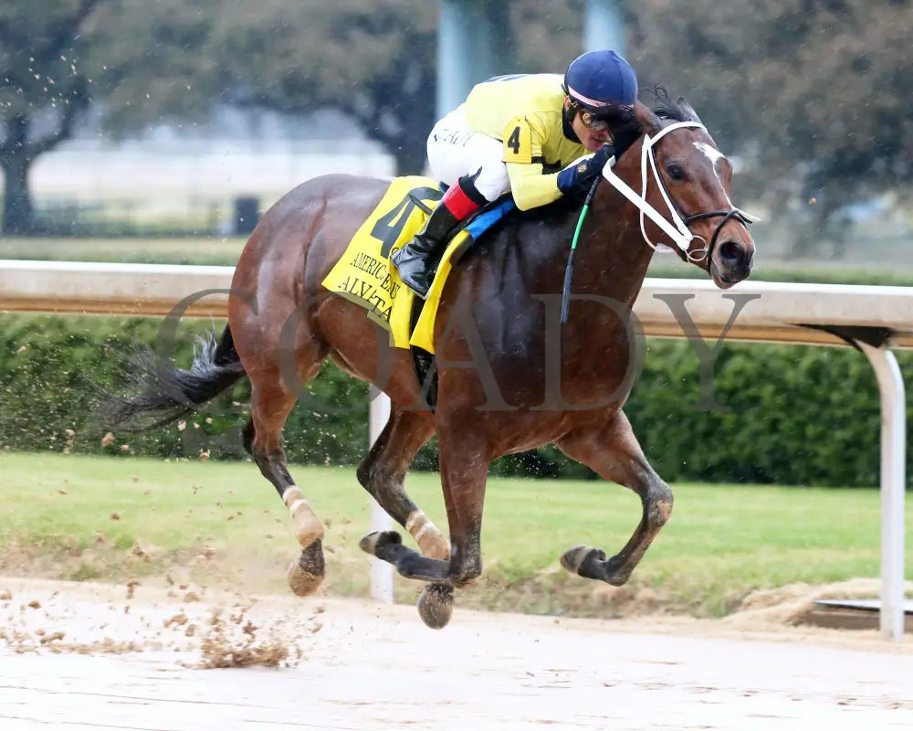 Alva Starr - American Beauty Stakes 41St Running 02-03-24 R10 Oaklawn Park Finish 02