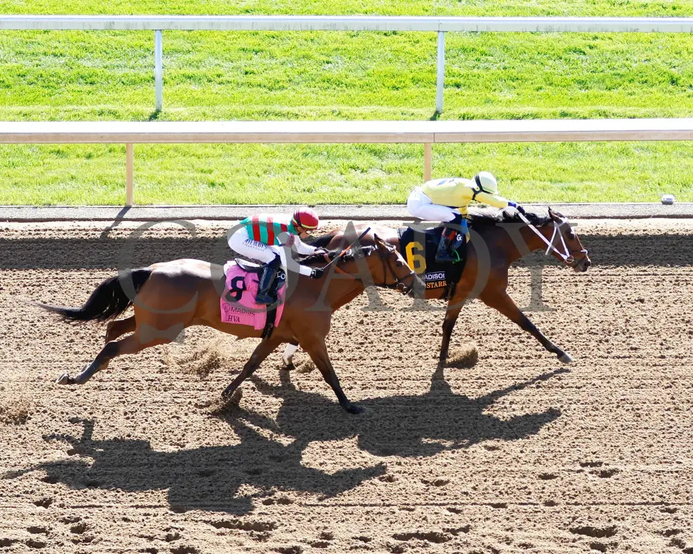 Alva Starr - The Resolute Racing Madison G1 04 - 06 - 24 R08 Kee Aerial Finish 01 Keeneland
