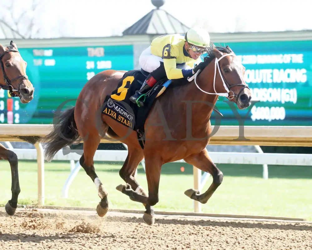 Alva Starr - The Resolute Racing Madison G1 04 - 06 - 24 R08 Kee Finish 02 Keeneland