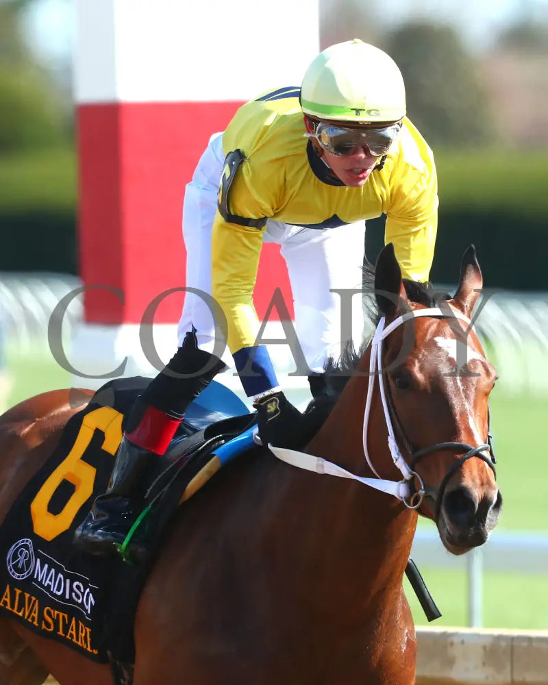 Alva Starr - The Resolute Racing Madison G1 04 - 06 - 24 R08 Kee Gallop Out 01 Keeneland