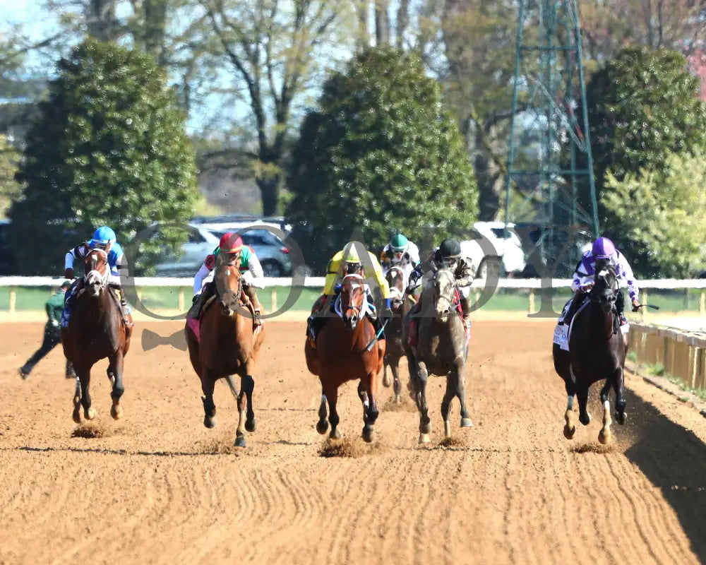 Alva Starr - The Resolute Racing Madison G1 04 - 06 - 24 R08 Kee Head On 01 Keeneland
