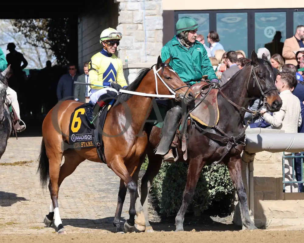 Alva Starr - The Resolute Racing Madison G1 04 - 06 - 24 R08 Kee Post Parade 02 Keeneland