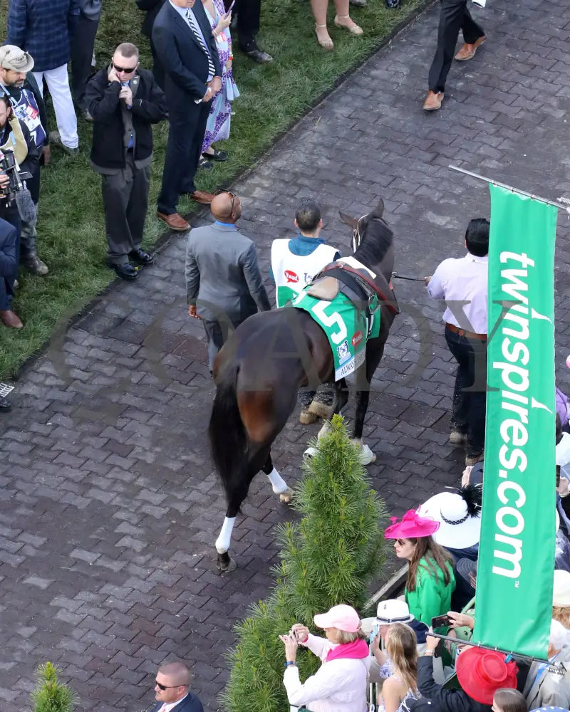 Always Dreaming - 050617 Race 12 Cd Paddock 5 Churchill Downs