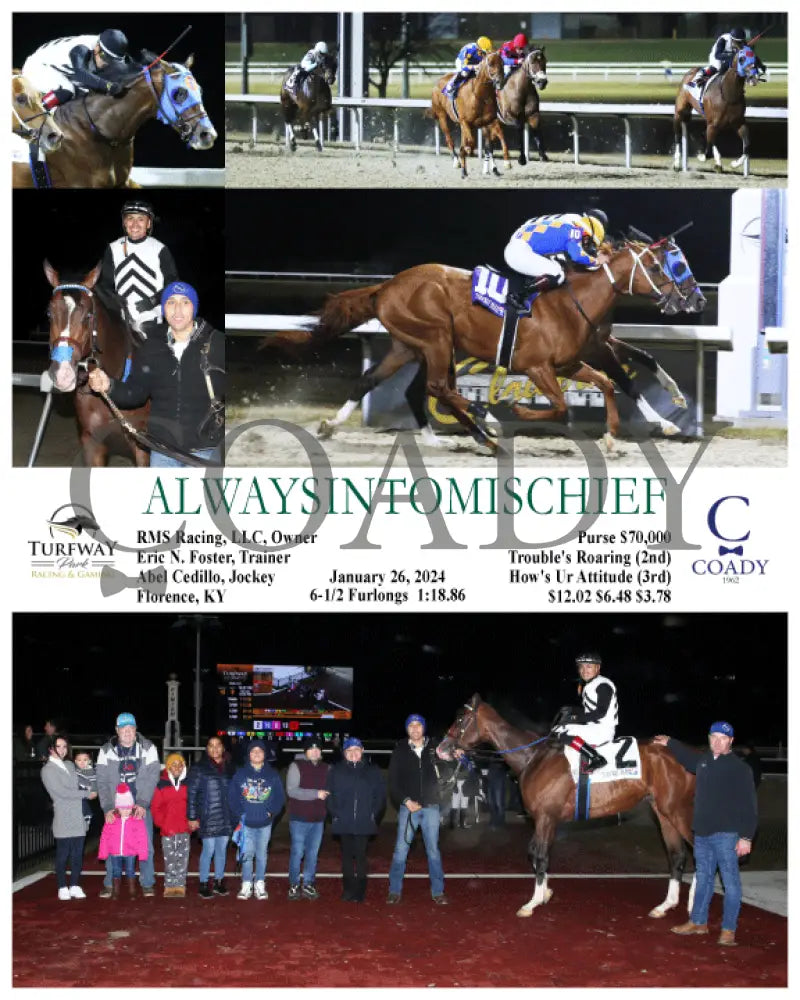 Alwaysintomischief - 01-26-24 R10 Tp Turfway Park