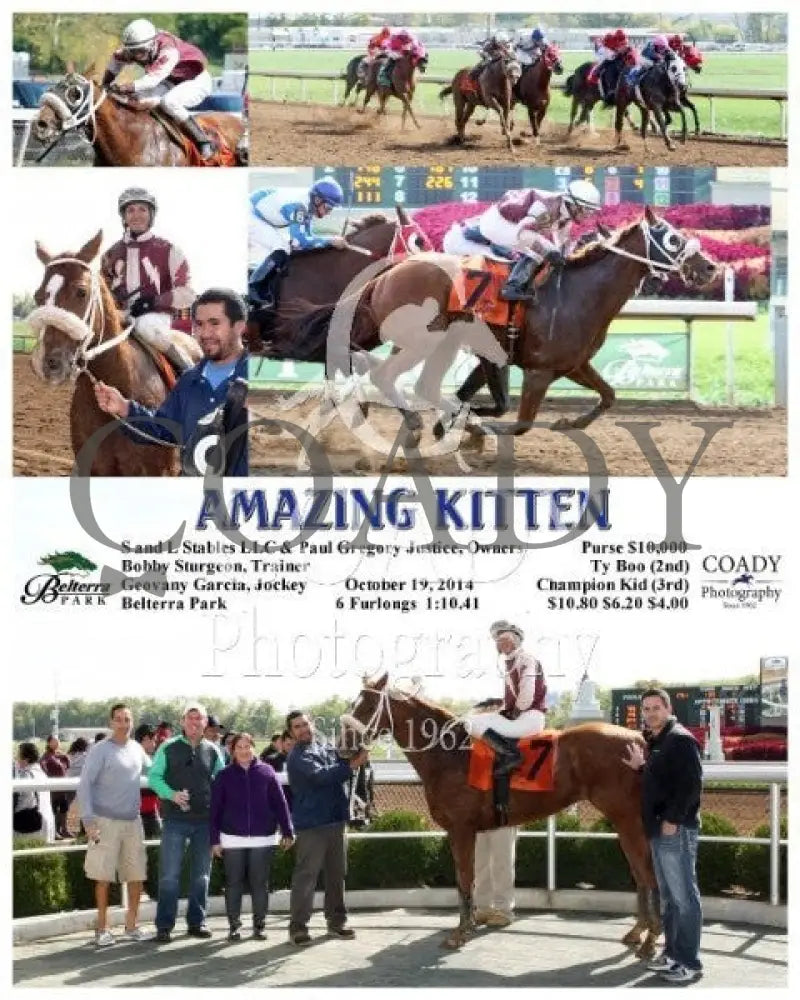 Amazing Kitten - 101914 Race 01 Btp Belterra Park