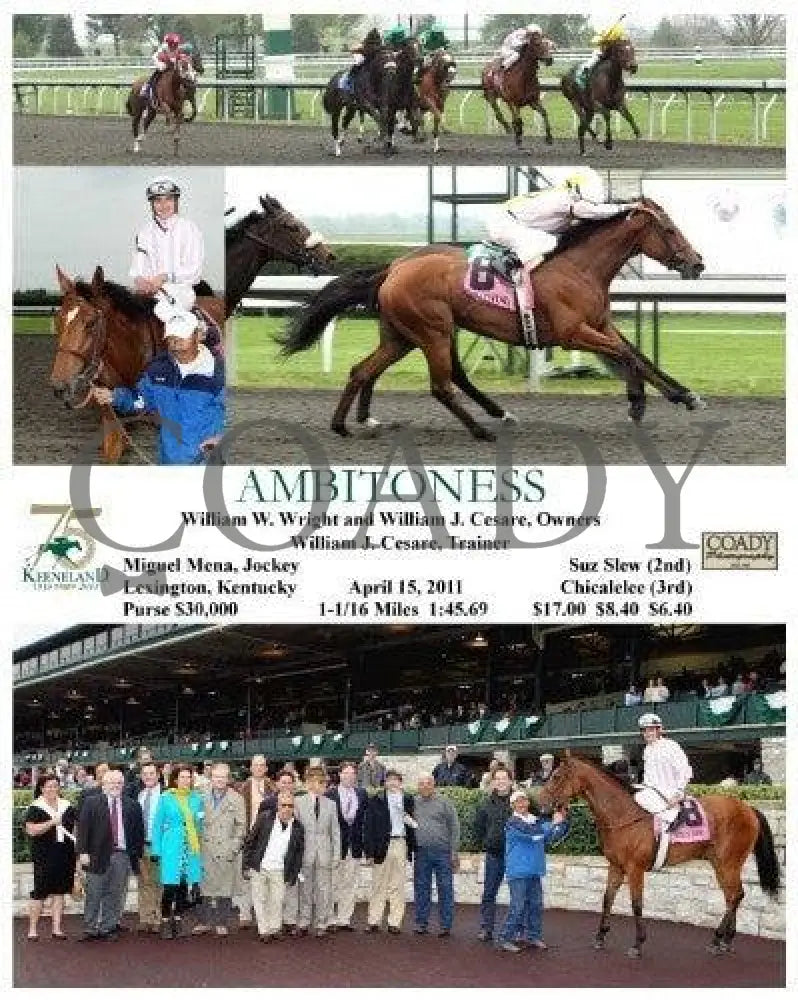 Ambitoness - 041511 Race 10 Keeneland