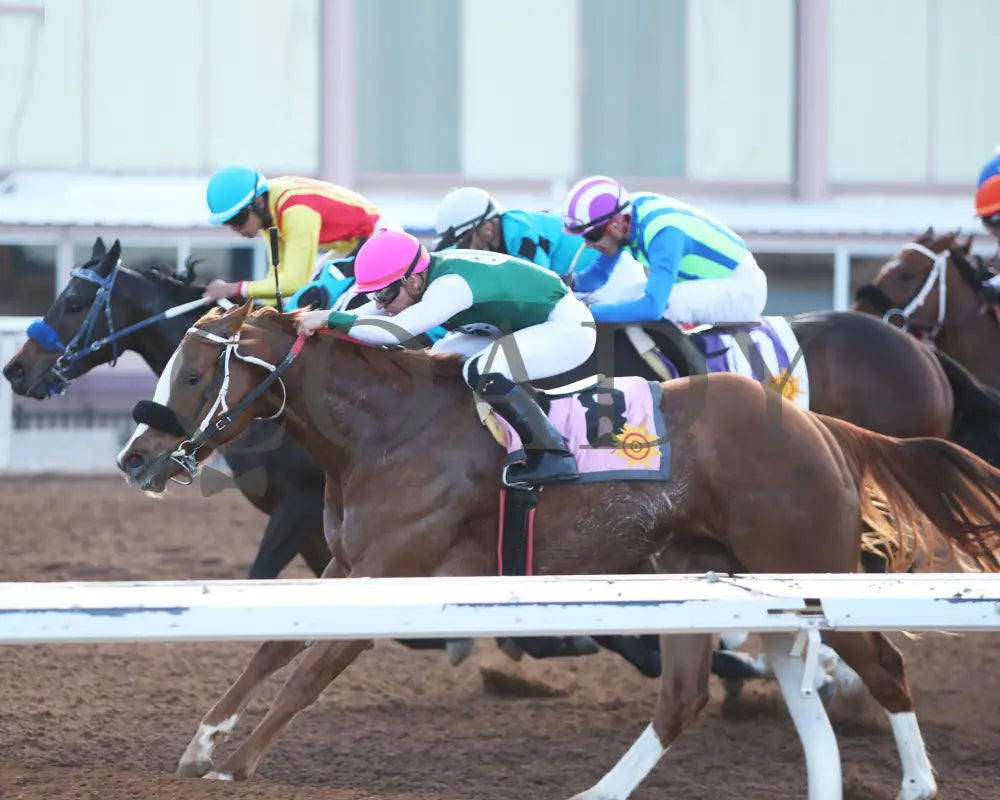 American Cherub - Lasenora Stakes 01-16-25 R09 Sunland Park Inside Finish Turfway