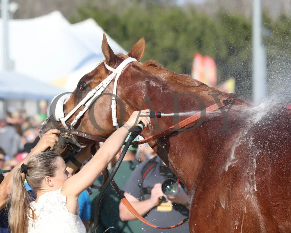 AMERICAN PROMISE - The Virginia Derby - 03-15-25 - R09 - CNL - Bath 02 Colonial Downs