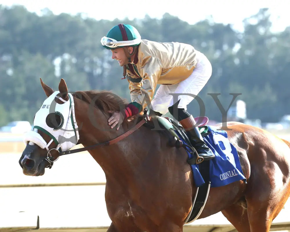 AMERICAN PROMISE - The Virginia Derby - 03-15-25 - R09 - CNL - Come Back 02 Colonial Downs