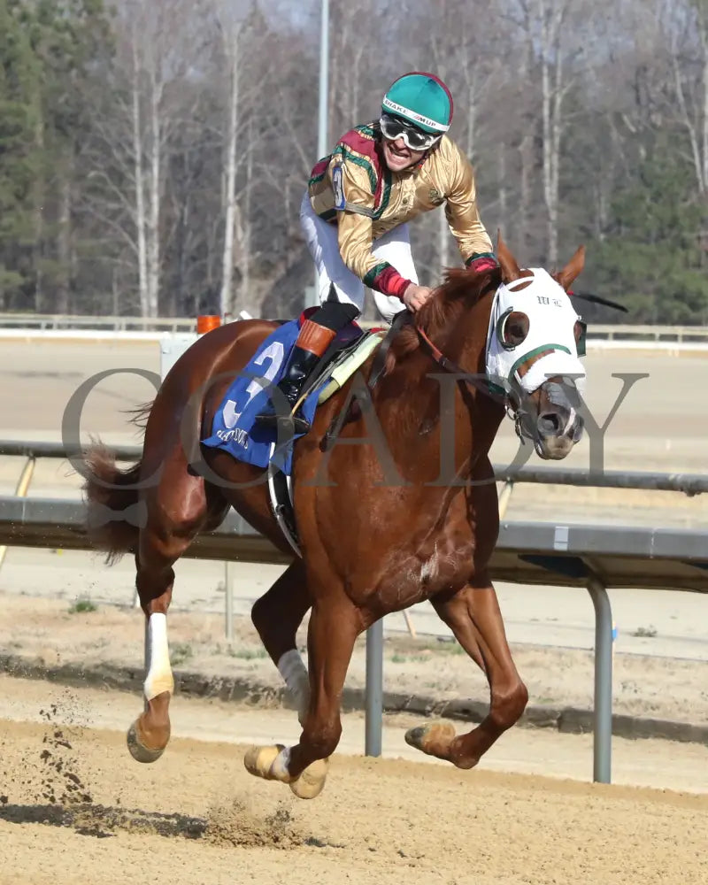 AMERICAN PROMISE - The Virginia Derby - 03-15-25 - R09 - CNL - Finish 03 Colonial Downs
