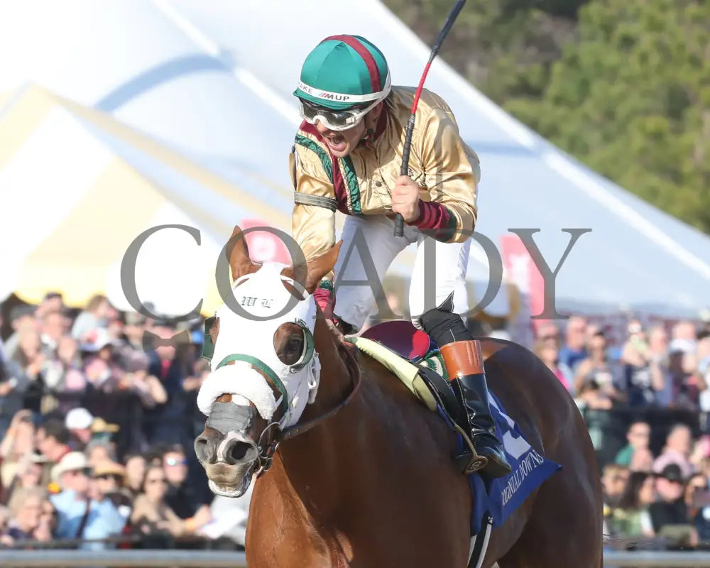 AMERICAN PROMISE - The Virginia Derby - 03-15-25 - R09 - CNL - Inside Finish 01 - Coady Media - Kurtis Coady Photography