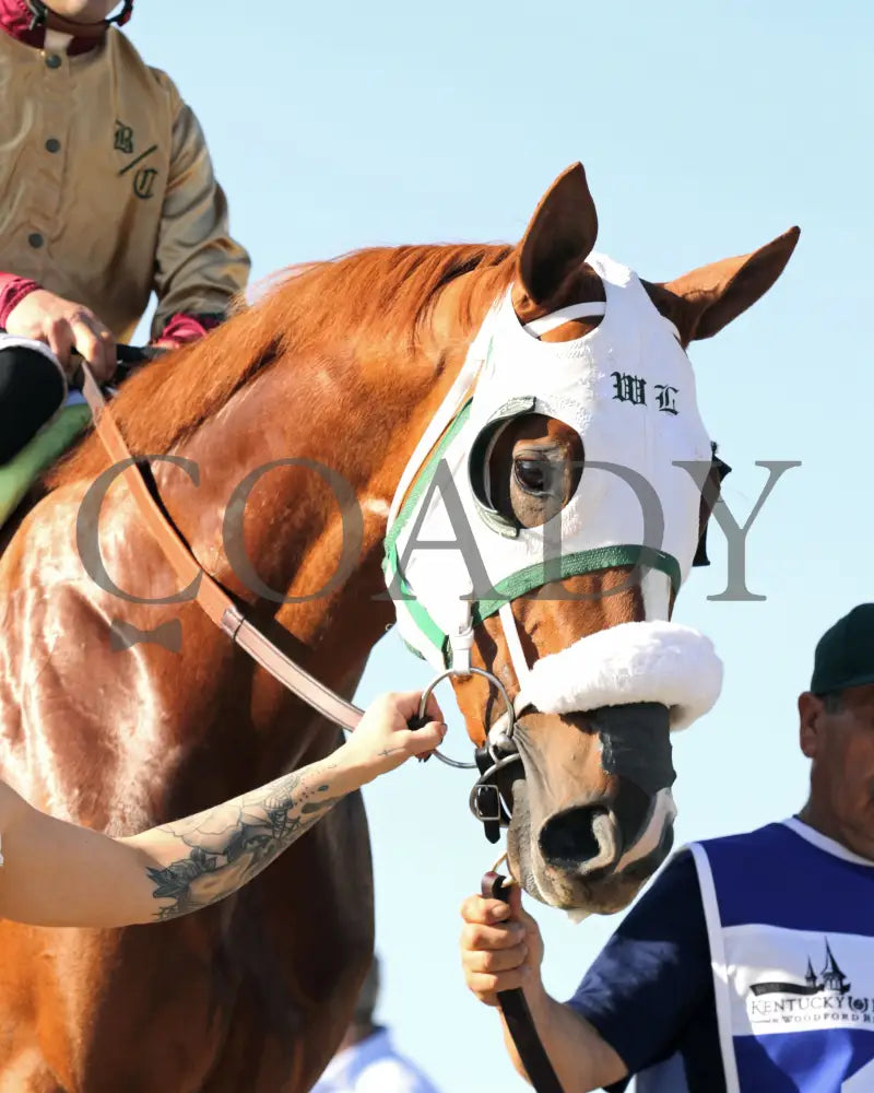 AMERICAN PROMISE - The Virginia Derby - 03-15-25 - R09 - CNL - Paddock 09 - Coady Media - Kurtis Coady Photography