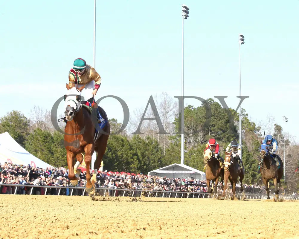 AMERICAN PROMISE - The Virginia Derby - 03-15-25 - R09 - CNL - Under Rail 01 Colonial Downs
