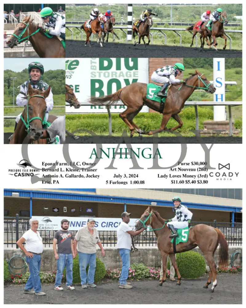 Anhinga - 07-03-24 R01 Pid Presque Isle Downs