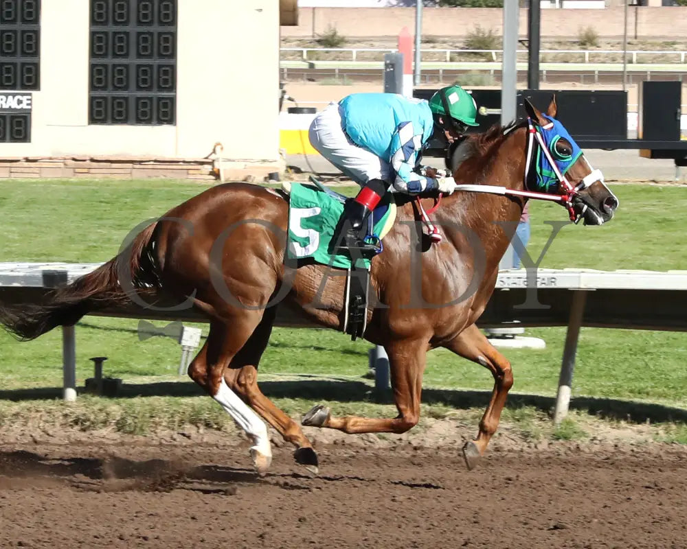 ANTONIOS MARK - The OD McDonald - 10-25-25 - R05 - The Downs at Albuquerque - Finish 01 Downs at Albuquerque