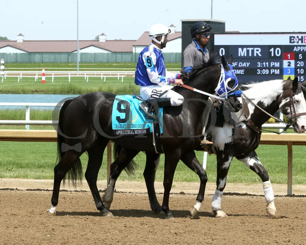 APOLLITICAL MISSION - Harley Greene Derby Final - 11th Running - 05-31-25 - R10 - Horseshoe Indiana - Post Parade 01