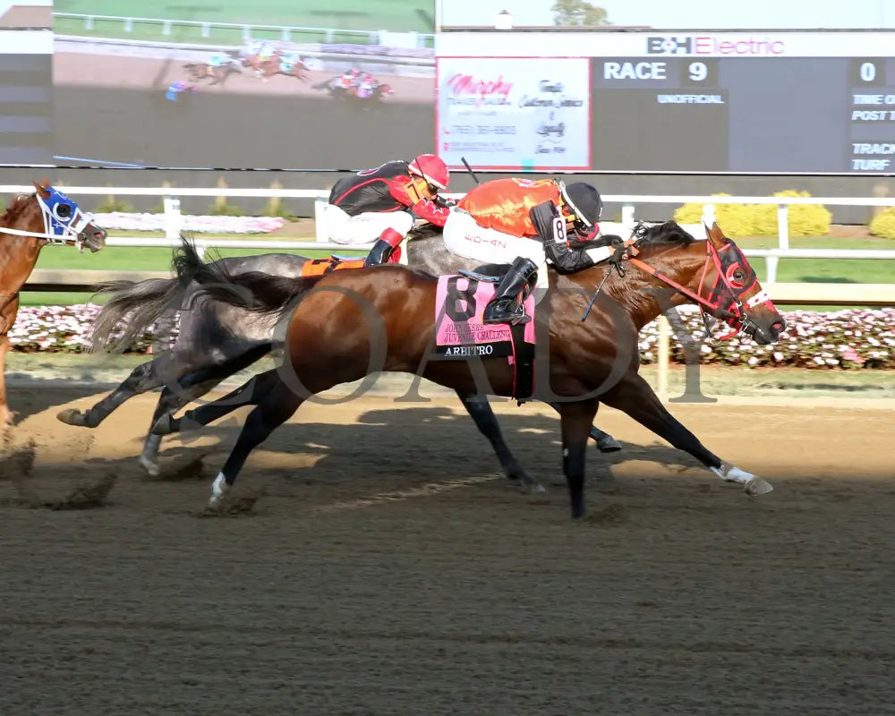 Arbitro - John Deere Juvenile Challenge Final 09-19-24 R09 Horseshoe Indiana Finish 01 Sammantha