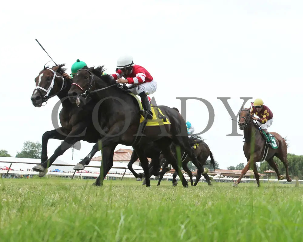 Arklow - 080518 Race 06 Elp Under Rail 01 Ellis Park