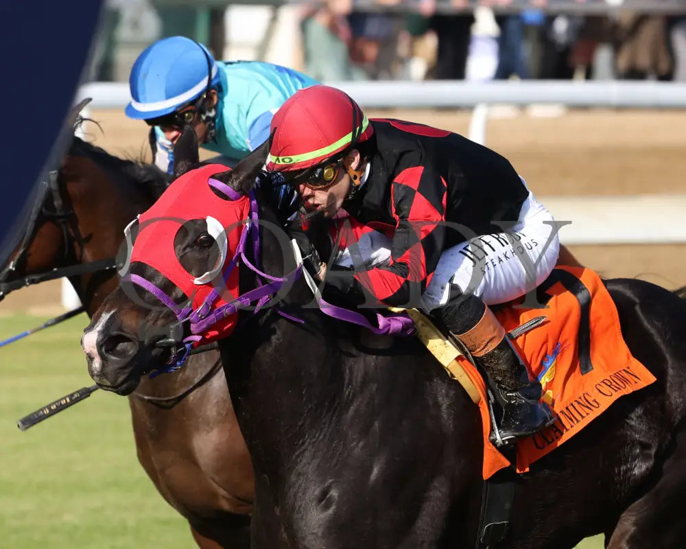 ASHIMA - The Tiara - 11-15-25 - R05 - CD - Inside Finish 01 - Coady Media - Kurtis Coady Photography