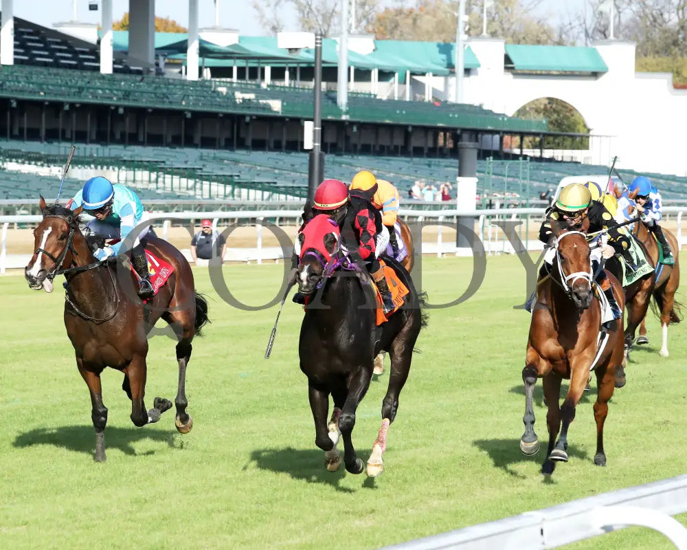 ASHIMA - The Tiara - 11-15-25 - R05 - CD - Inside Finish 02 - Coady Media - Kurtis Coady Photography
