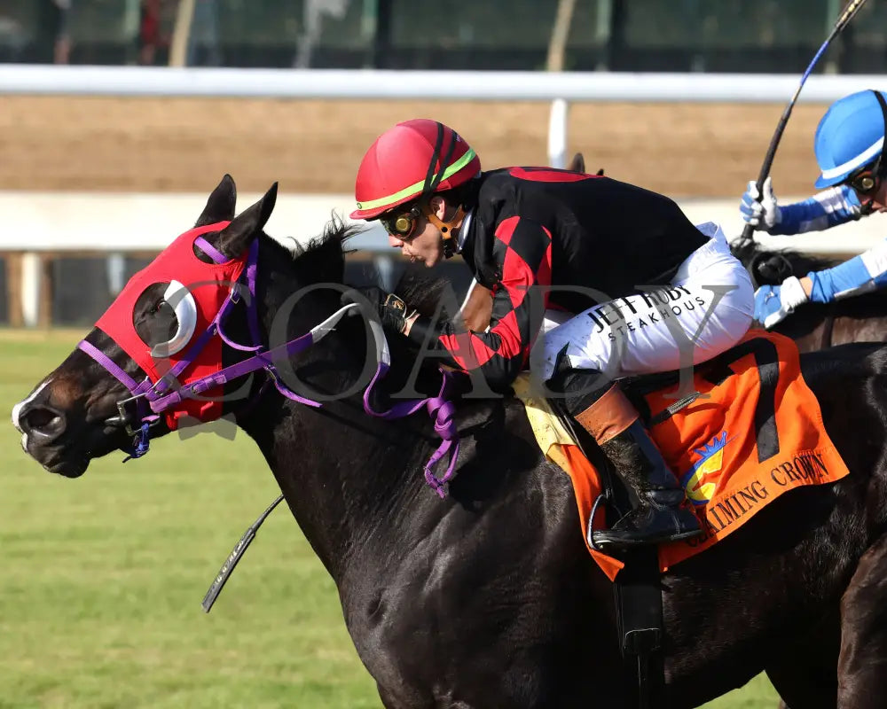 ASHIMA - The Tiara - 11-15-25 - R05 - CD - Inside Finish 03 - Coady Media - Kurtis Coady Photography
