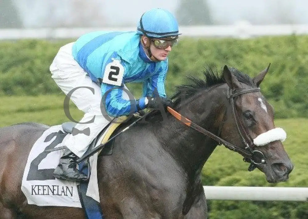 Assateague - 1 102611 Race 04 Keeneland