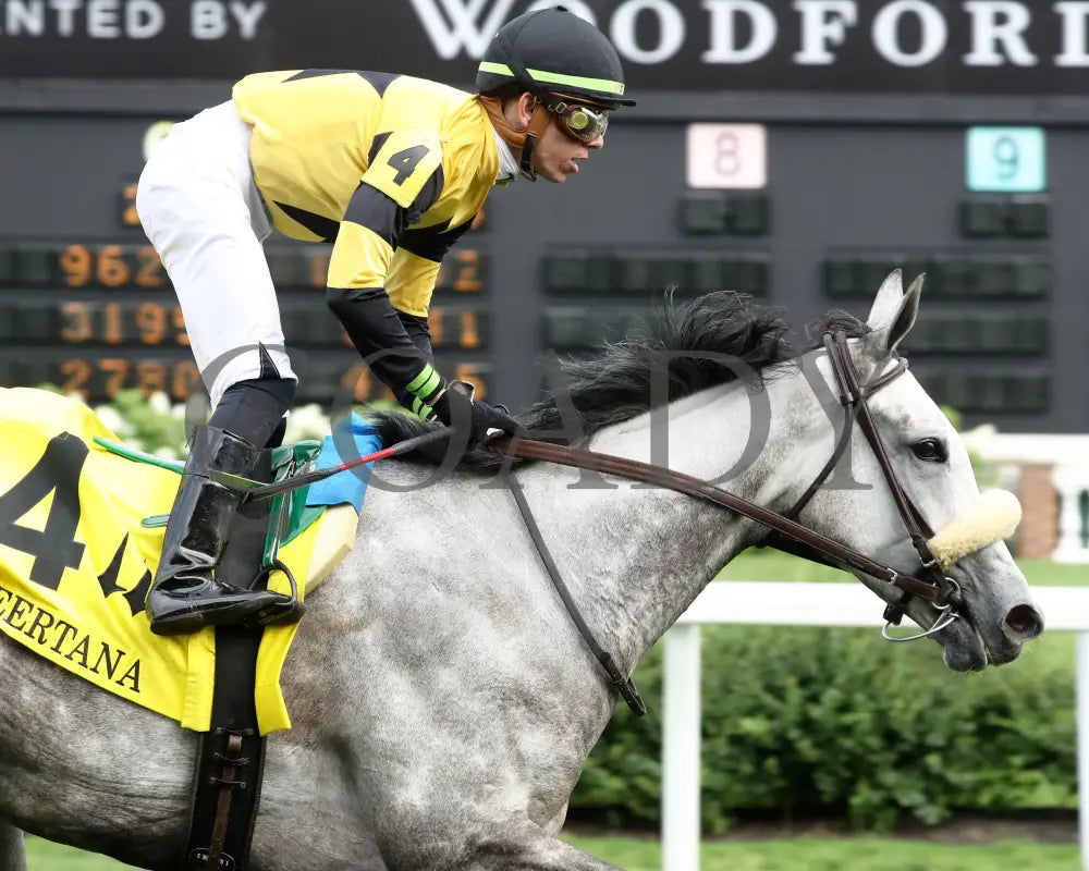 Atomic Blonde - The Keertana 11Th Running 05-25-24 R10 Cd Gallop Out 01 Churchill Downs