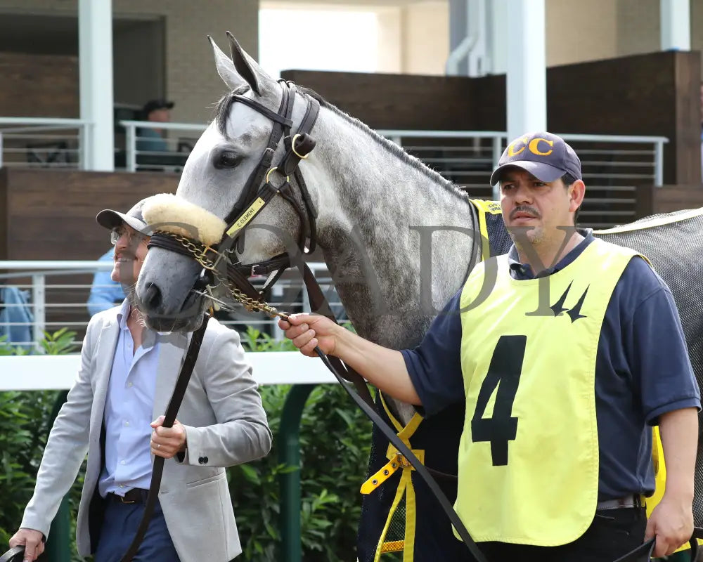 Atomic Blonde - The Keertana 11Th Running 05-25-24 R10 Cd Paddock 02 Churchill Downs
