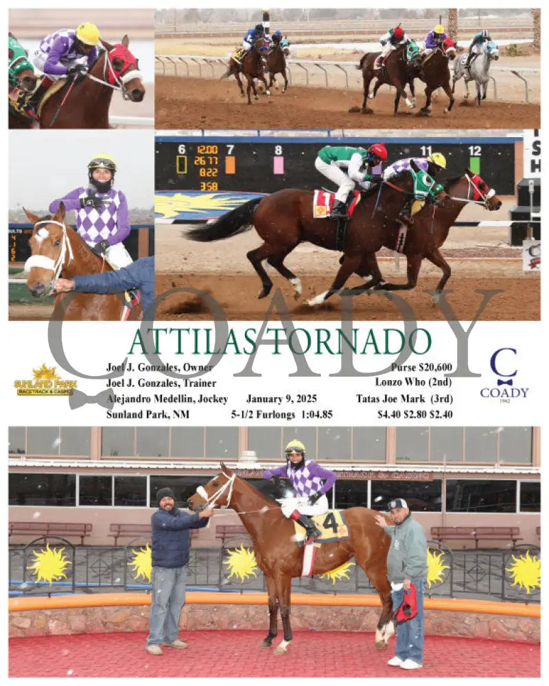 Attilas Tornado - 01-09-25 R02 Sun Turfway Park