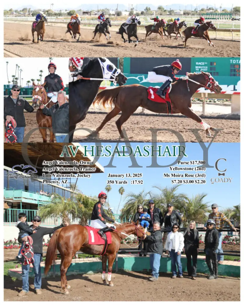 Av Hesadashair - 01-13-25 R01 Tup Turf Paradise