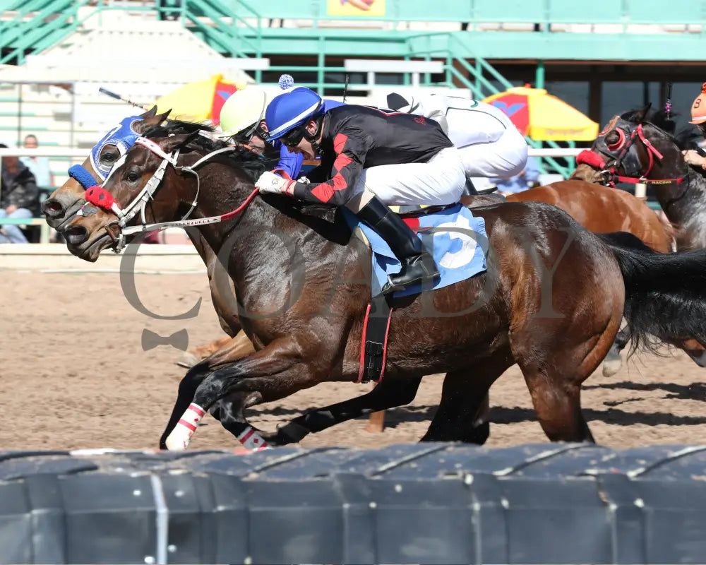 Av Tornadoe Warning - Desert Classic Stakes 02-15-24 R01 Turf Paradise Inside Finish