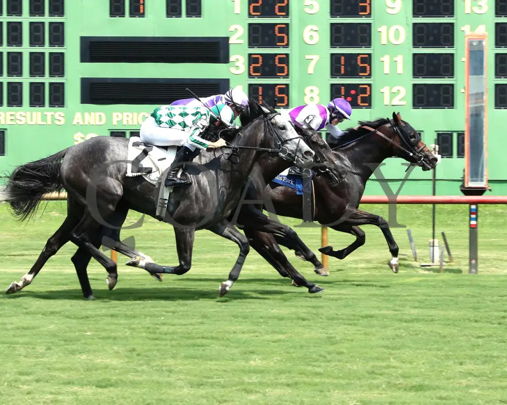 Awesome Treat - Ky Downs Preview Ladies Turf Sprint 6Th Running 08-03-24 R07 Elp Finish 01 Ellis