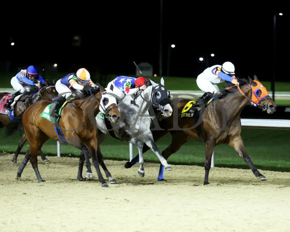 B G Warrior - The Queen 28Th Running 03 - 16 - 24 R06 Tp Finish 02 Turfway Park