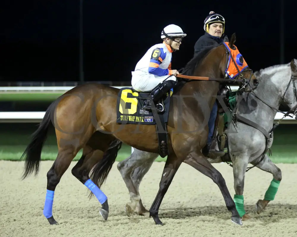B G Warrior - The Queen 28Th Running 03 - 16 - 24 R06 Tp Post Parade 01 Turfway Park