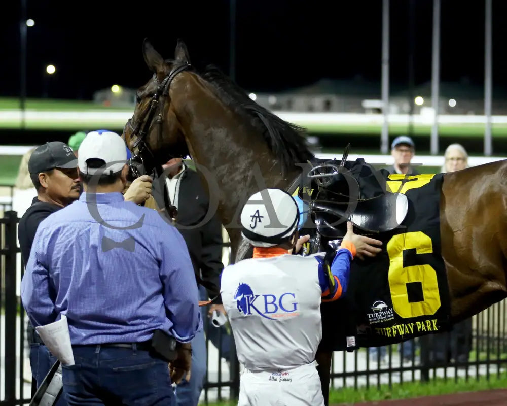 B G Warrior - The Queen 28Th Running 03 - 16 - 24 R06 Tp Post Race 01 Turfway Park