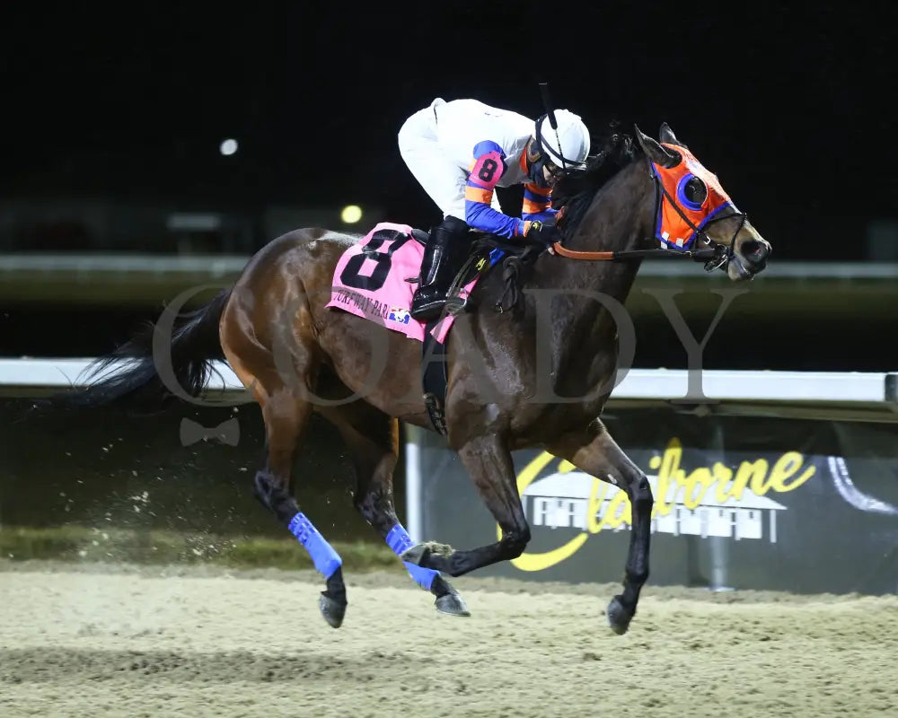 B G Warrior - The Wishing Well 31St Running 01-27-24 R08 Tp Finish 02 Turfway Park